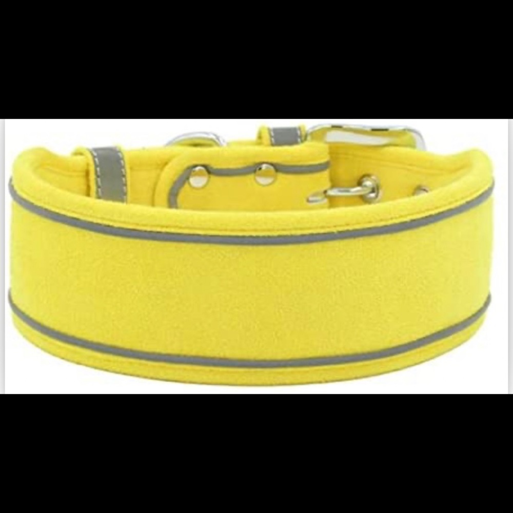 Pet Collar